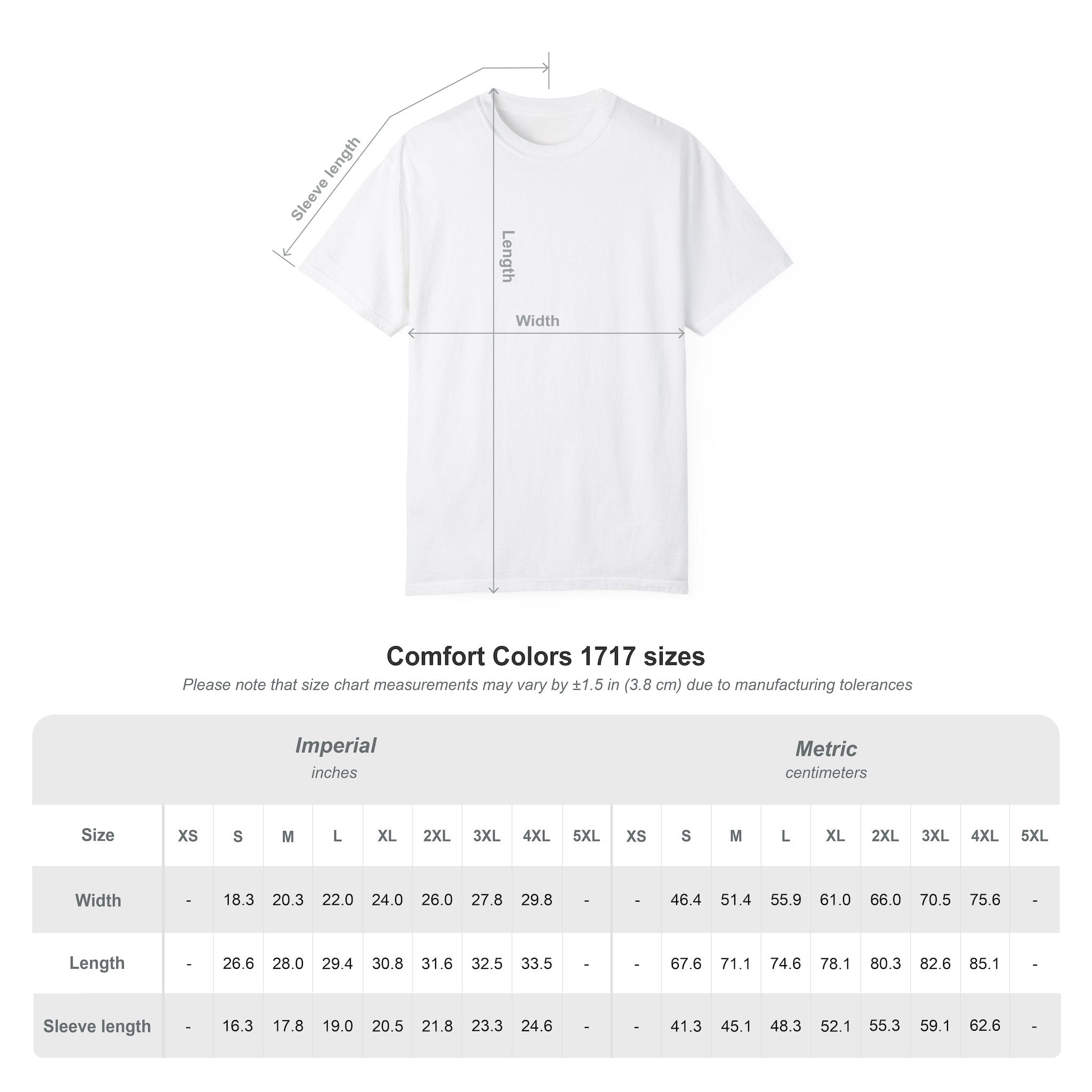 Published Author T-Shirt — "Published Author Est. 2026" Casual Tee for Writers & Book Lovers