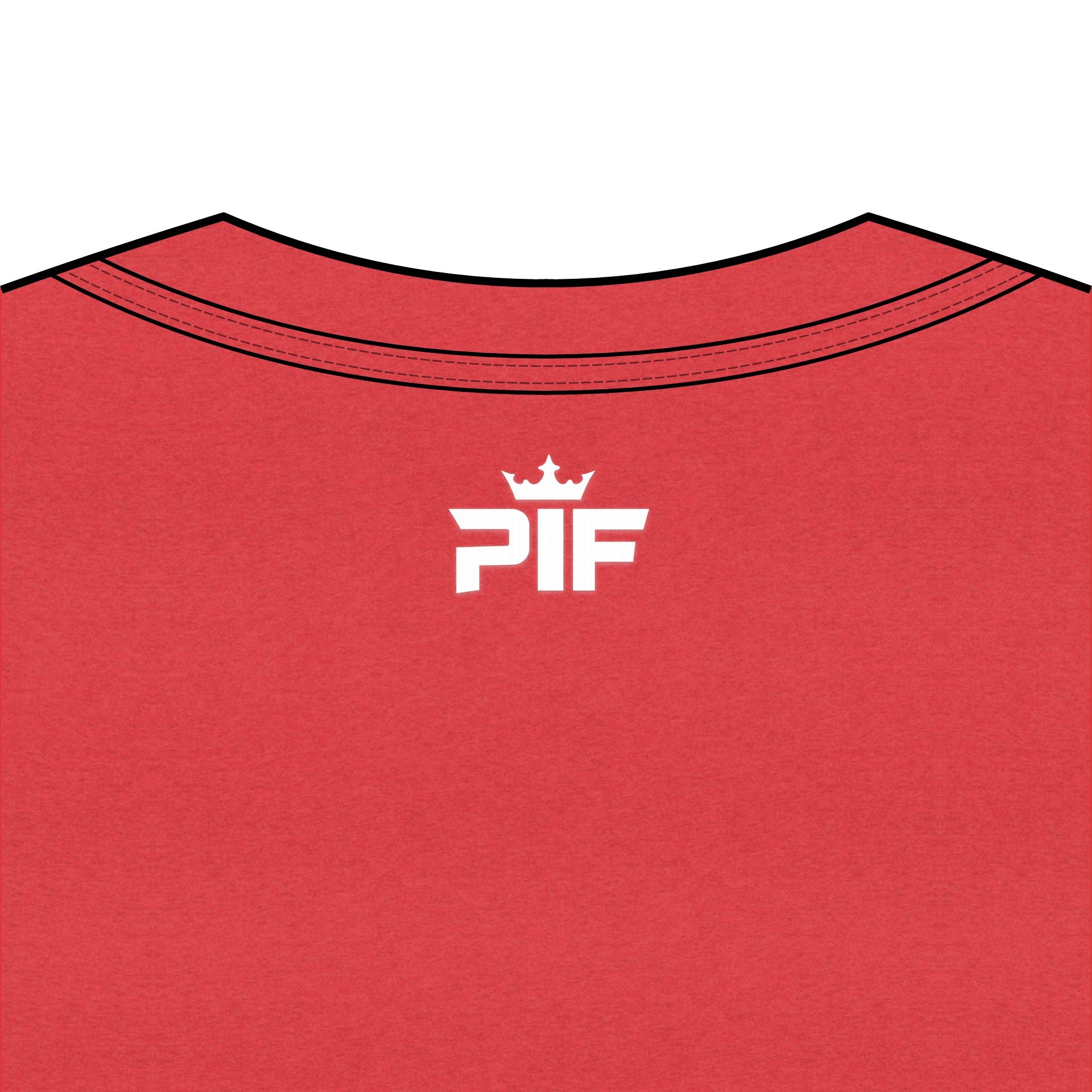 "This is what a Published Author looks like" V-Neck Tee